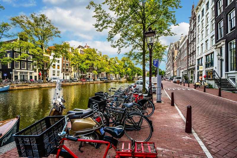 Amsterdam Rower